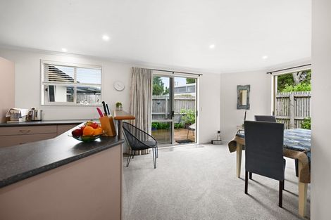 Photo of property in 10 Taylor Terrace, St Andrews, Hamilton, 3200