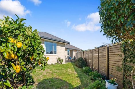 Photo of property in 18a Parkvale Road, Otumoetai, Tauranga, 3110