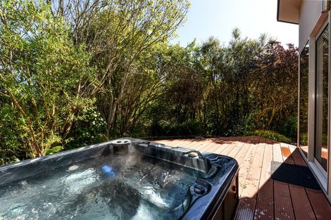 Photo of property in 21a Darley Street, Maeroa, Hamilton, 3200