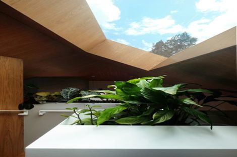 Photo of property in 10 Carrington Street, Mount Cook, Wellington, 6021