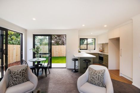 Photo of property in 13 Ihle Street, Terrace End, Palmerston North, 4410