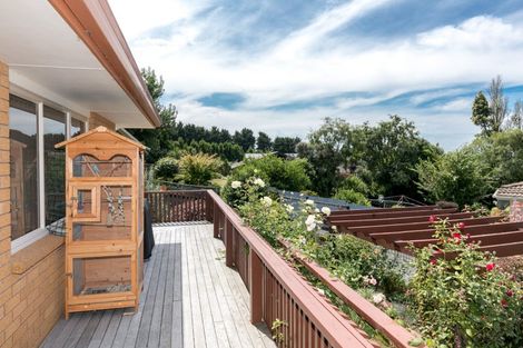 Photo of property in 198 Greenhill Drive, Te Awamutu, 3800