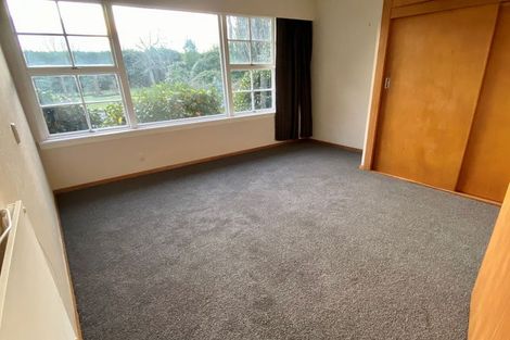 Photo of property in 113 Hamptons Road, Prebbleton, Christchurch, 7676