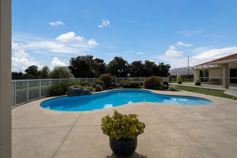 Photo of property in 13 Hogan Road, Cambridge, 3493