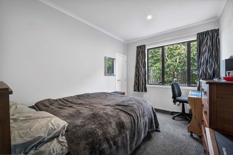 Photo of property in 41 Swansea Road, Stratford, 4332