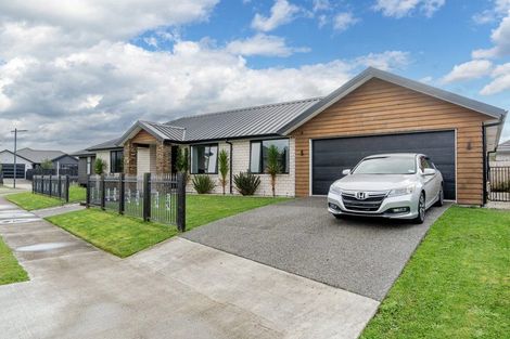 Photo of property in 4 Sydney Place, Flagstaff, Hamilton, 3210