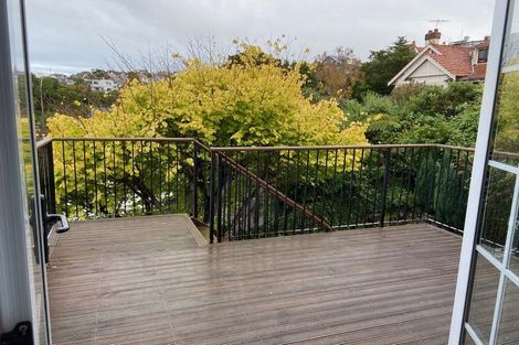 Photo of property in 22 Selkirk Street, Roslyn, Dunedin, 9010