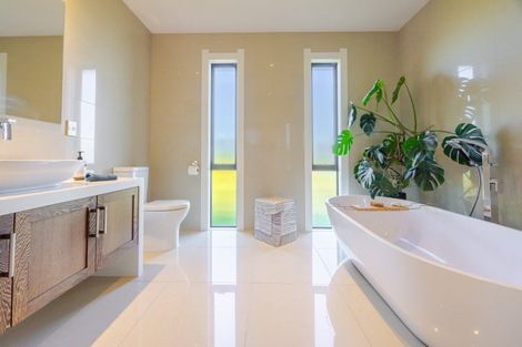 Photo of property in 223f Racecourse Road, Waipukurau, 4282