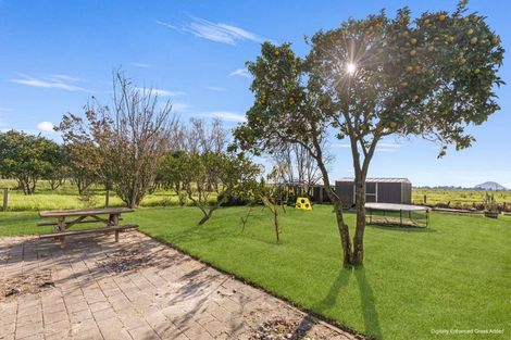 Photo of property in 694 Thornton Road, Thornton, Whakatane, 3194