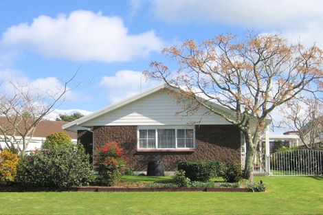 Photo of property in 37b Hibiscus Avenue, Mount Maunganui, 3116