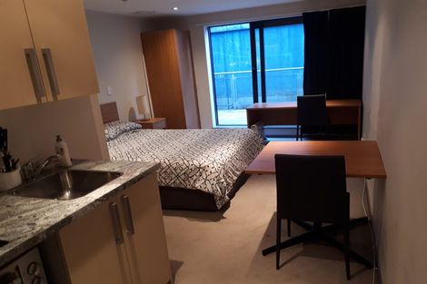 Photo of property in Dual Apartments, 108/142u Vivian Street, Te Aro, Wellington, 6011
