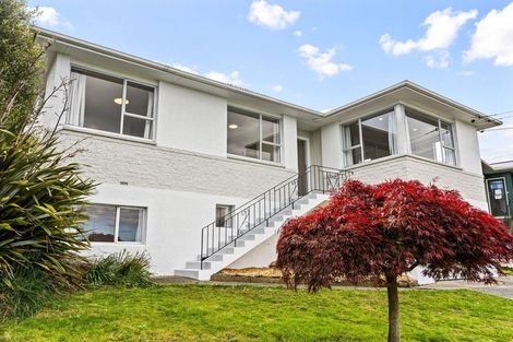 Photo of property in 6 Mcdonald Street, Brockville, Dunedin, 9011