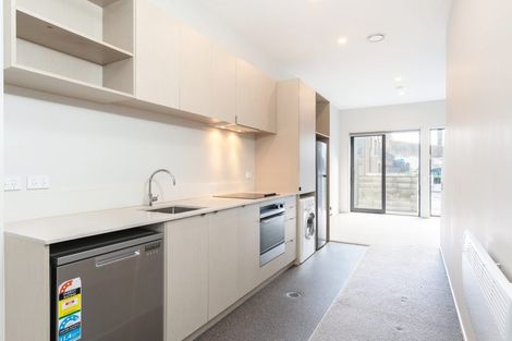 Photo of property in Aniva Terrace, 14 Arney Street, Newtown, Wellington, 6021