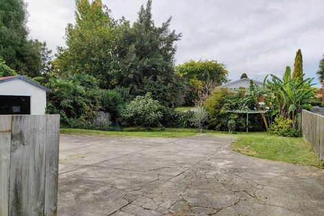 Photo of property in 216 Nixon Street, Hamilton East, Hamilton, 3216