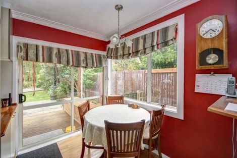 Photo of property in 127 Norwood Street, Normanby, Dunedin, 9010