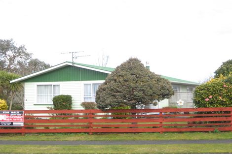 Photo of property in 17 Tybalt Street, Stratford, 4332