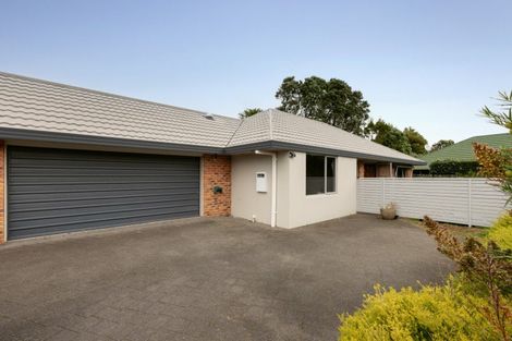 Photo of property in 171e Maungatapu Road, Maungatapu, Tauranga, 3112