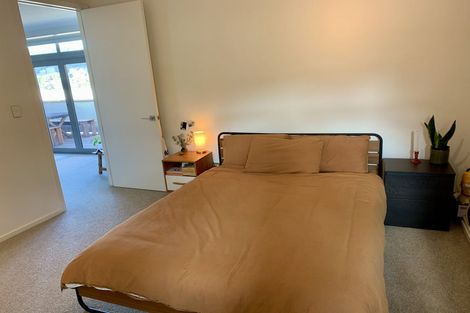 Photo of property in Vespa Apartments, 501/20 Hanson Street, Mount Cook, Wellington, 6021