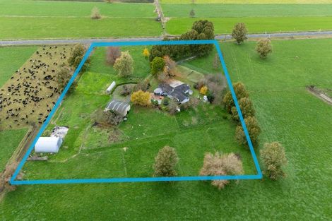 Photo of property in 308 Mill Road, Ohaupo, 3881