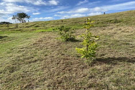 Photo of property in 277 Quarry Road, Awanui, 0482