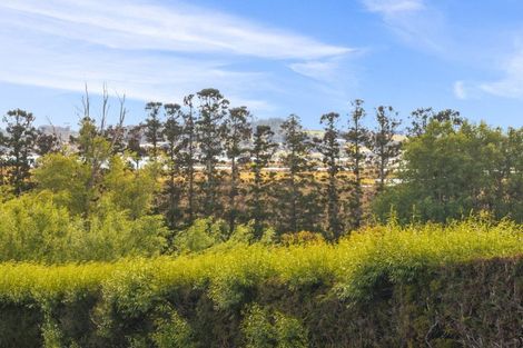 Photo of property in 102 Avocado Lane, Mangawhai, Wellsford, 0975