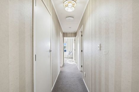 Photo of property in 47 Gemini Avenue, Milson, Palmerston North, 4414