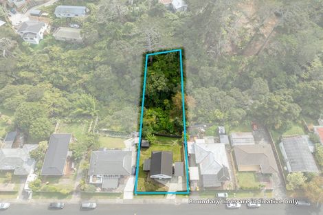 Photo of property in 68 Helena Street, Massey, Auckland, 0614
