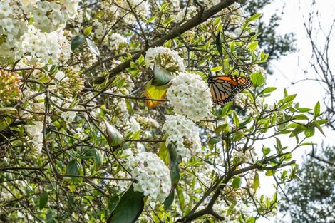 Photo of property in 210 Frimley Road, Frimley, Hastings, 4120