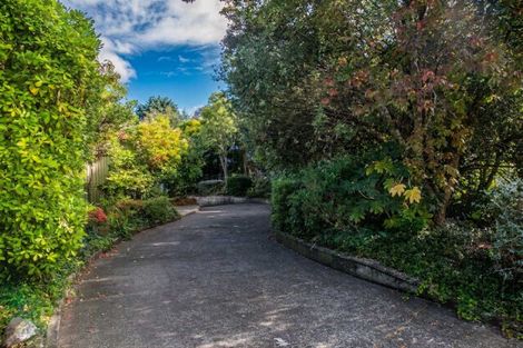 Photo of property in 12 Rakau Street, Havelock North, 4130