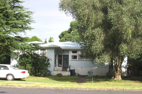 Photo of property in 29 Larnoch Road, Henderson, Auckland, 0610