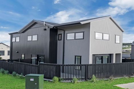 Photo of property in 21 Nanjing Road, Pukekohe, 2120
