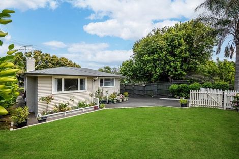 Photo of property in 53 Bond Crescent, Forrest Hill, Auckland, 0620
