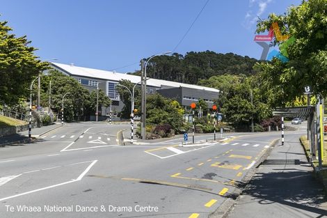 Photo of property in Drummond Street Flats, 24/19u Drummond Street, Mount Cook, Wellington, 6021