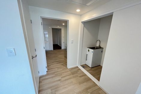 Photo of property in 70 Park Avenue, Rosehill, 2113