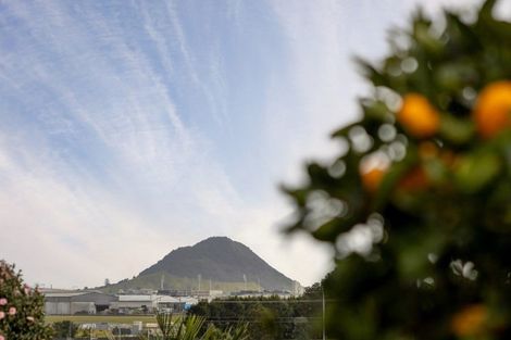 Photo of property in 14 Claridge Place, Mount Maunganui, 3116