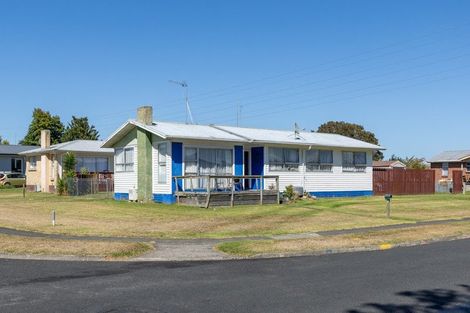 Photo of property in 36 Mcdiarmid Crescent, Huntly, 3700