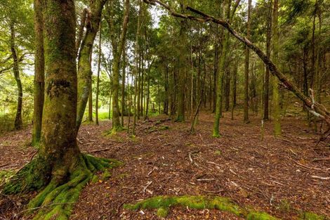 Photo of property in 1037 Puketotara Road, Okaihau, 0475