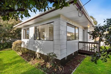 Photo of property in 2/128a Bruce Mclaren Road, Henderson, Auckland, 0612
