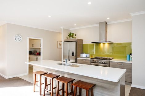 Photo of property in 5 Heritage Place, Terrace End, Palmerston North, 4410