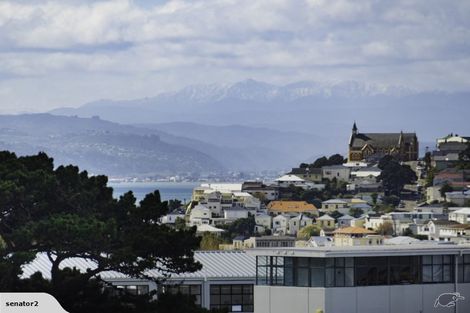 Photo of property in 3/22 Hargreaves Street, Mount Cook, Wellington, 6021