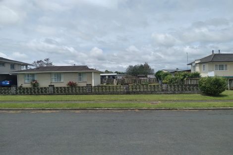 Photo of property in 102 Arapuni Street, Putaruru, 3411