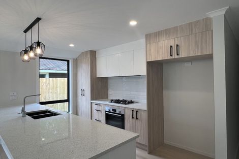 Photo of property in 121 Fitzroy Avenue, Fitzroy, Hamilton, 3206