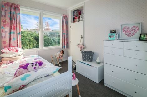 Photo of property in 119 Fitzroy Avenue, Fitzroy, Hamilton, 3206