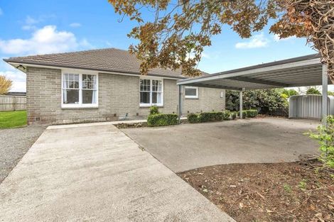 Photo of property in 43 Birchfield Avenue, Dallington, Christchurch, 8061