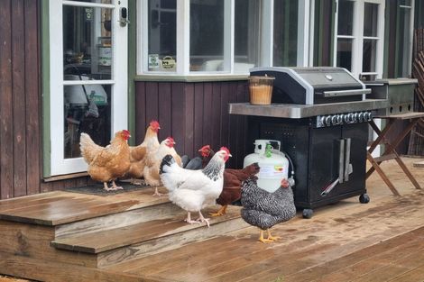 Photo of property in 1784 Whaanga Road, Raglan, 3296