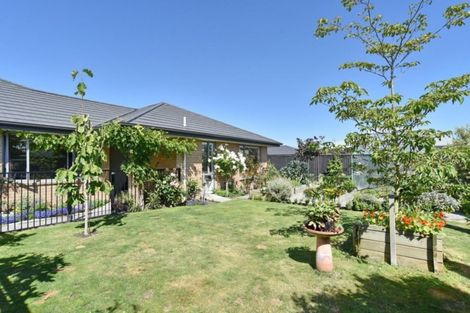 Photo of property in 17 Sincock Place, Kaiapoi, 7630