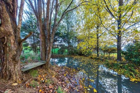 Photo of property in 45 Pendergrast Road, Mangatawhiri, Pokeno, 2471