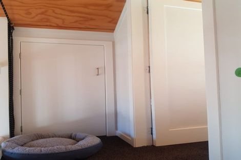 Photo of property in 118 The Ridgeway, Mornington, Wellington, 6021