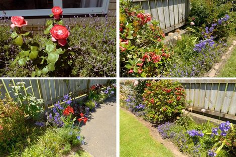 Photo of property in 48 Seventeenth Avenue, Tauranga South, Tauranga, 3112