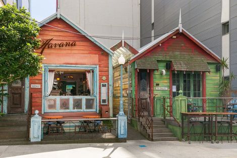 Photo of property in Tattoo Apartments, 18/42u Abel Smith Street, Te Aro, Wellington, 6011
